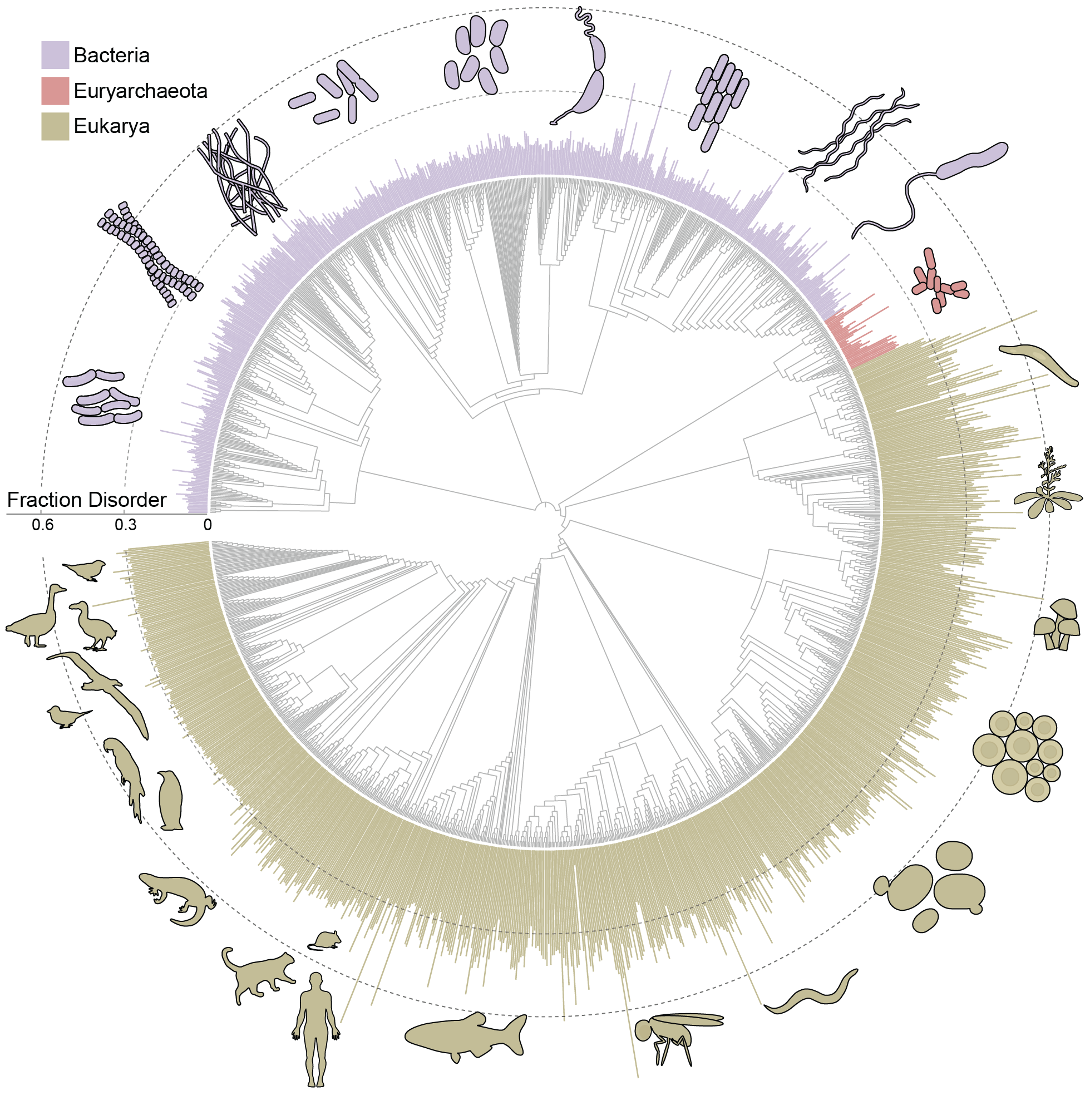 tree_of_life_disorder.png