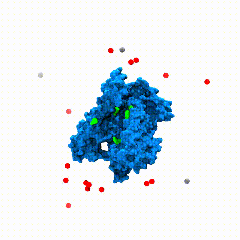 truncated_TMC1_model_electrophysiology.gif