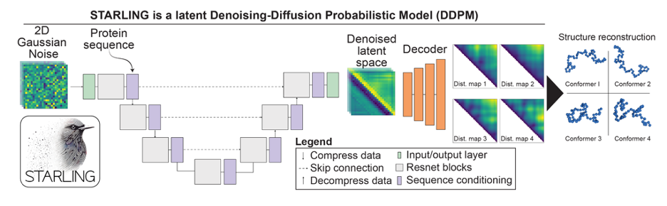 example image